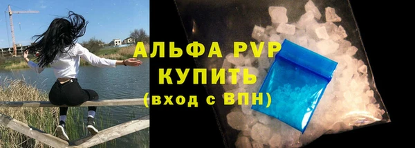 ГАЛЛЮЦИНОГЕННЫЕ ГРИБЫ Белокуриха