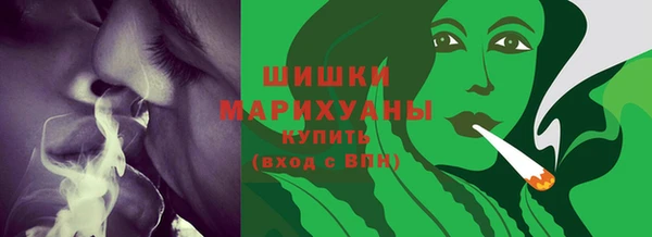 ГАЛЛЮЦИНОГЕННЫЕ ГРИБЫ Белокуриха