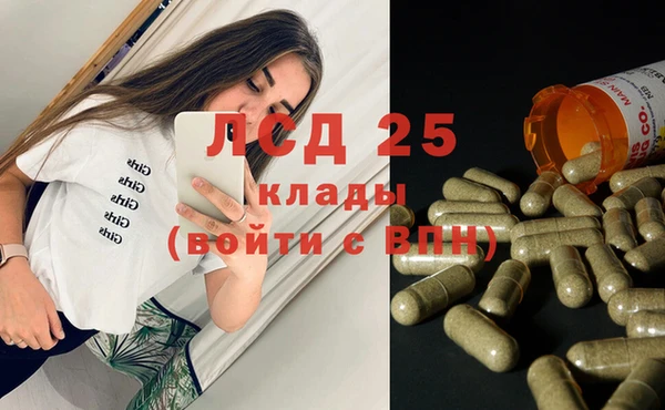 ГАЛЛЮЦИНОГЕННЫЕ ГРИБЫ Белокуриха