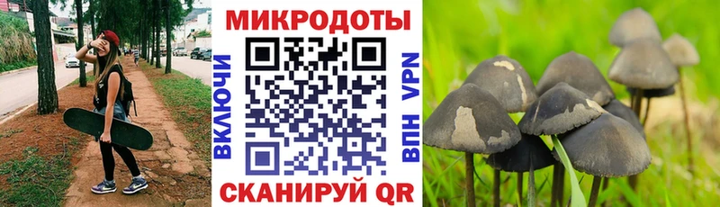blacksprut рабочий сайт  Луховицы  Галлюциногенные грибы MAGIC MUSHROOMS 